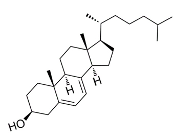 7-去氢胆固醇 7-Dehydrocholesterol 434-16-2