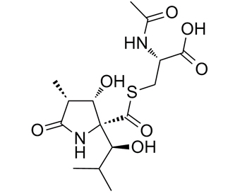 乳胞素 Lactacystin 133343-34-7