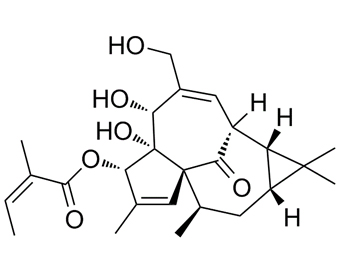 巨大戟醇甲基丁烯酸酯 Ingenol mebutate 75567-37-2 